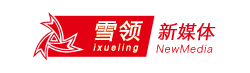 雪领新媒体