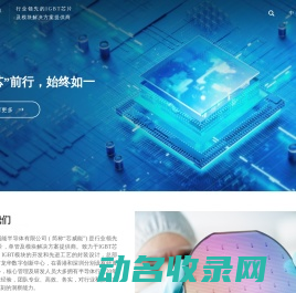 芯威能半导体